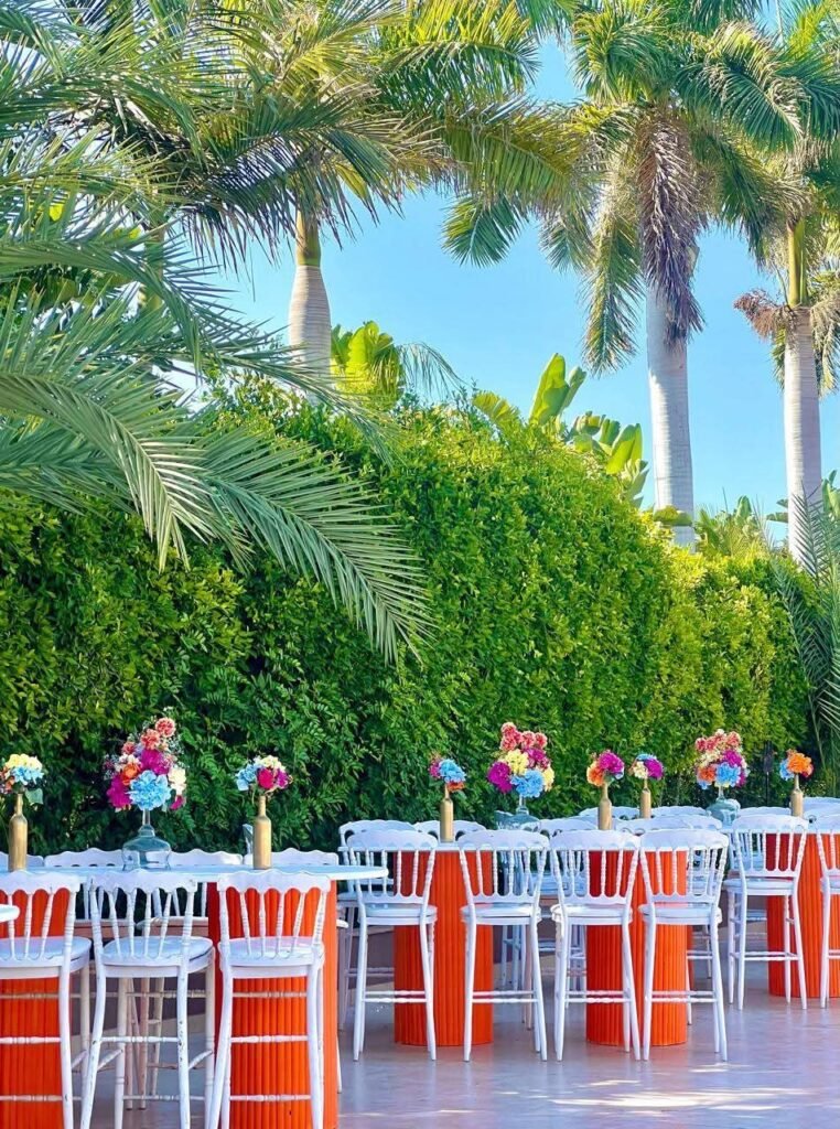 whatsapp image 2026 02 17 at 2.56.15 am (2)